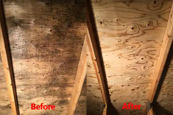 water damage restoration service Mechanicstown